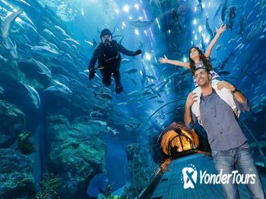 Dubai Aquarium & Underwater Zoo and VR Park Combo Offer