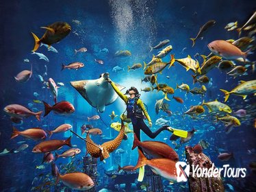 Dubai Atlantis Explorer Certified Scuba Dive