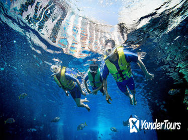 Dubai Atlantis Ultimate Snorkel Experience
