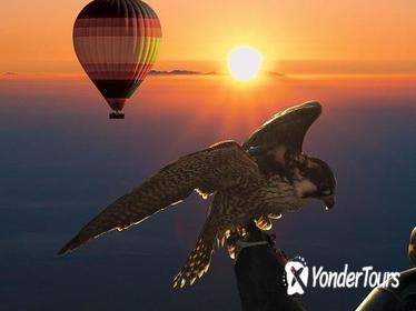 Dubai Hot Air Balloon Flight Including Gourmet Breakfast and Falconry Demonstration