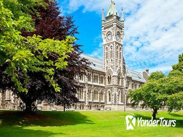 Dunedin City and Coastal Views 3-Hour Small-Group Guided Tour