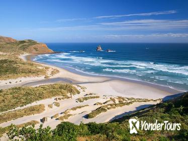 Dunedin Shore Excursion: Small-Group Tour of Dunedin and the Otago Peninsula