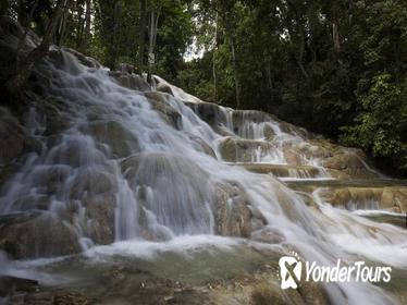 Dunn's River Falls and Fern Gully Adventure Tour from Montego Bay Dunn's River Falls and Fern Gully Adventure Tour from Montego Bay