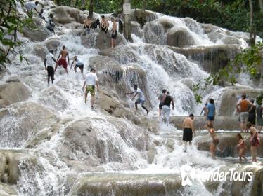 Dunn's River Falls and Luminous Lagoon Tour from Montego Bay and Grand Palladium