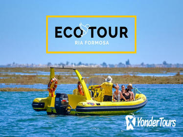 Eco Tour Ria Formosa - Guided Nature Tour from Faro to Ilha Deserta