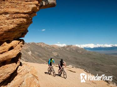 El Calafate Downhill Mountain Biking Adventure