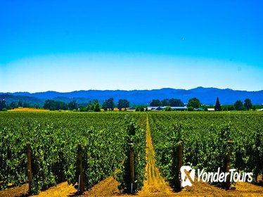 El Dorado Wine Country Tour from South Lake Tahoe