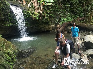 El Yunque National Forest Tour from Fajardo