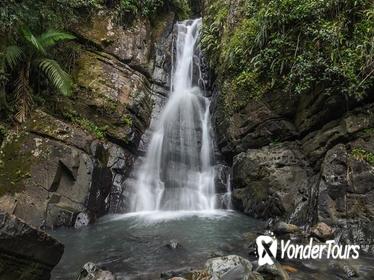 El Yunque National Forest Tour from San Juan