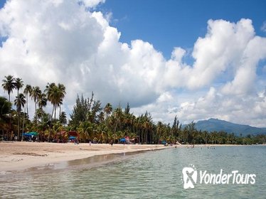 El Yunque Rainforest and Luquillo Beach