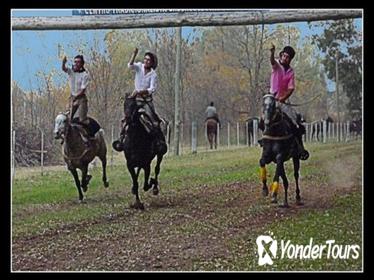 Estancia Gaucho 'Santa Susana' Day Tour from Buenos Aires