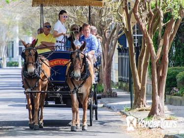 Evening Carriage Tour of Downtown Charleston