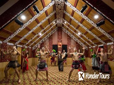 Evening Maori Cultural Performance and Geyser Experience from Rotorua