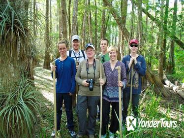 Everglades Walking Tour