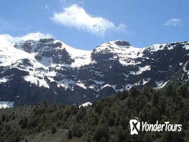 Excursion to Tronador Mount & Los Alerces Waterfall from Bariloche