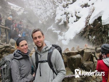 Explore Jigokudani Snow Monkey Park and Knowledgeable Local Guide Explore Jigokudani Snow Monkey Park and Knowledgeable Local Guide