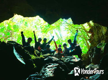 Explore Mt. Fuji Ice Cave in Aokigahara Forest