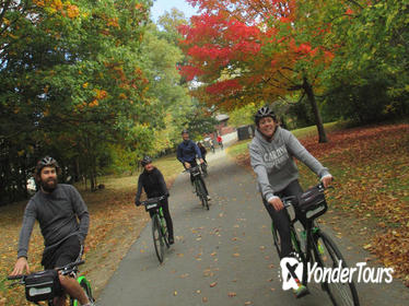 Fall Foliage Bike Ride in Boston
