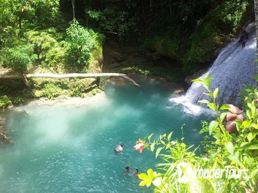 Falmouth Dunns River Falls and Blue Hole Excursion