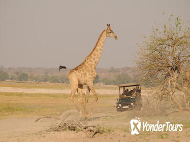Family 3-Day NON-SHARED Private Kruger Safari Tour from Johannesburg