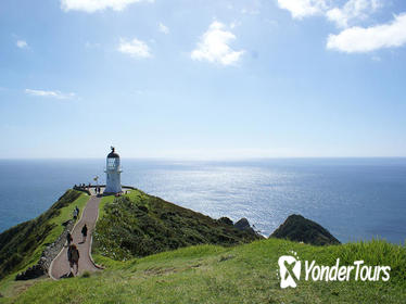 Far North New Zealand Tour including 90 Mile Beach and Cape Reinga from Paihia