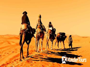 Fez through Merzouga Desert 4-Day Private Tour from Marrakech