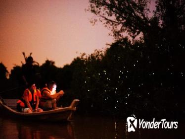 Fireflies and Kuala Selangor Tour Including Dinner