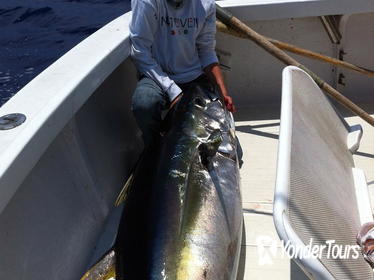 Fishing for Marlin and Tuna