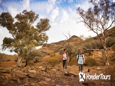 Flinders Ranges 3 Day 4WD Small Group Eco Tour from Adelaide