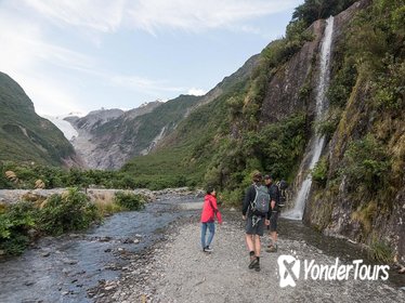 Franz Josef Glacier Valley Eco Tour