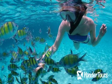 Freeport Snorkeling and Catamaran Cruise to Peterson Cay National Park