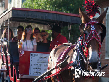 French Quarter Horse and Carriage Ride with Optional Cemetery Tour