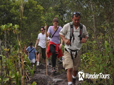 Full Day Combo Tour Best of Arenal Including: Hanging Bridges, La Fortuna Waterfall, Volcano Hike and Hot Springs