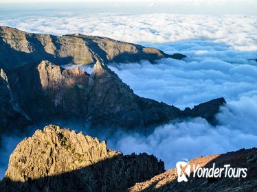 Full Day Madeira East Island Small-Group Tour from Funchal