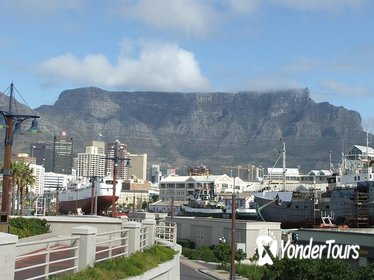 Full Day Panoramic Cape Town and Wine Tasting Tour from Cape Town
