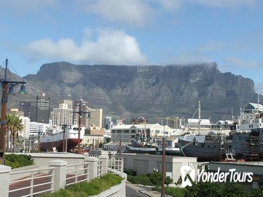 Full Day Panoramic Cape Town and Wine Tasting Tour from Stellenbosch