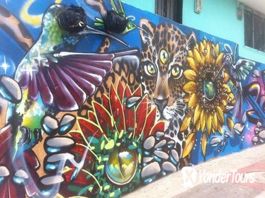 Full Day Private Medellín City, Street Art and Food Tour