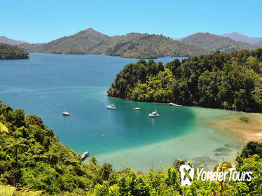 Full Day Queen Charlotte Kayak and Walking Tour from Picton