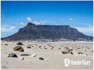 Full Day Robben Island and Table Mountain Tour from Cape Town