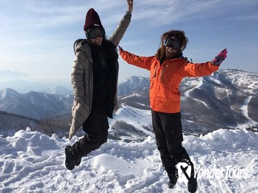 Full Day Snow Monkey and Snow Tour in the Shiga-kogen Highlands in Nagano