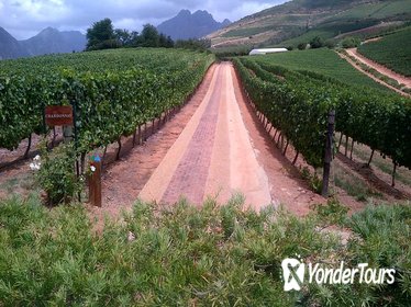 Full Day Wine Safari and Tasting with Franschhoek Motor Museum from Cape Town