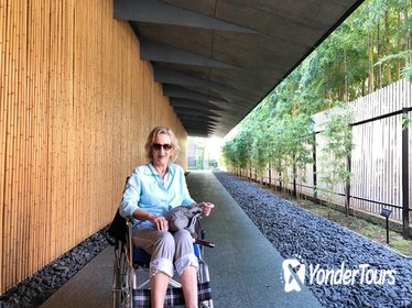 Full-Day Accessible Barrier-Free Tokyo for Wheelchair Users