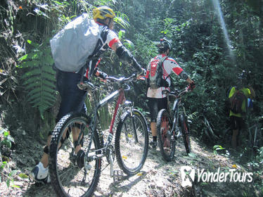 Full-Day Advanced XC Downhill Biking at Doi Suthep National Park Chiang Mai