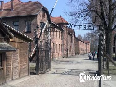 Full-Day Auschwitz and Birkenau Tour from Krakow with Private Transfer