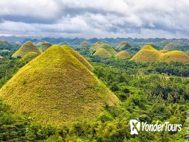 Full-Day Bohol Excursion - Departs from Cebu