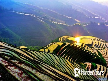 Full-Day Bus Tour: Longji Rice Terraces and Local Minority Villages