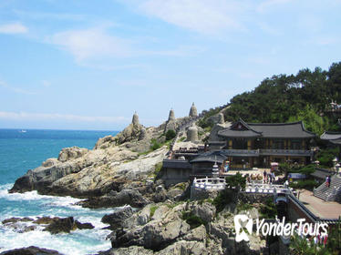 Full-Day Busan Tour Including Haedong Yonggungsa Temple