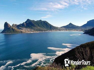 Full-Day Cape Peninsula and Cape of Good Hope Tour from Cape Town