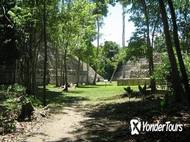 Full-Day Caracol Maya Temple and Pine Ridge Forest Reserve