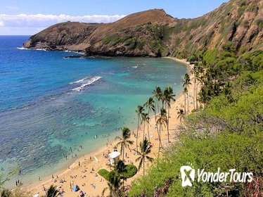 Full-day Circle Island Tour on Oahu